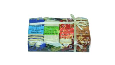 Handmade Sea cucumber Soap (Sheabutter) - Set (x4)
