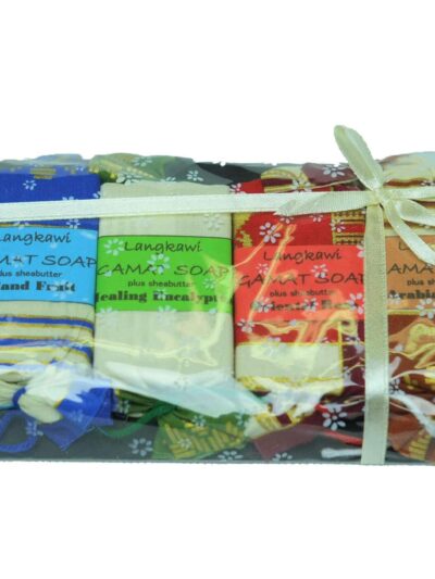 Handmade Sea cucumber Soap (Sheabutter) - Set (x4)